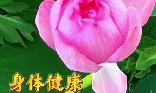 2023年的总结感悟说说