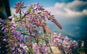 解落三秋叶的下一句是什 解落三秋叶的下一句是